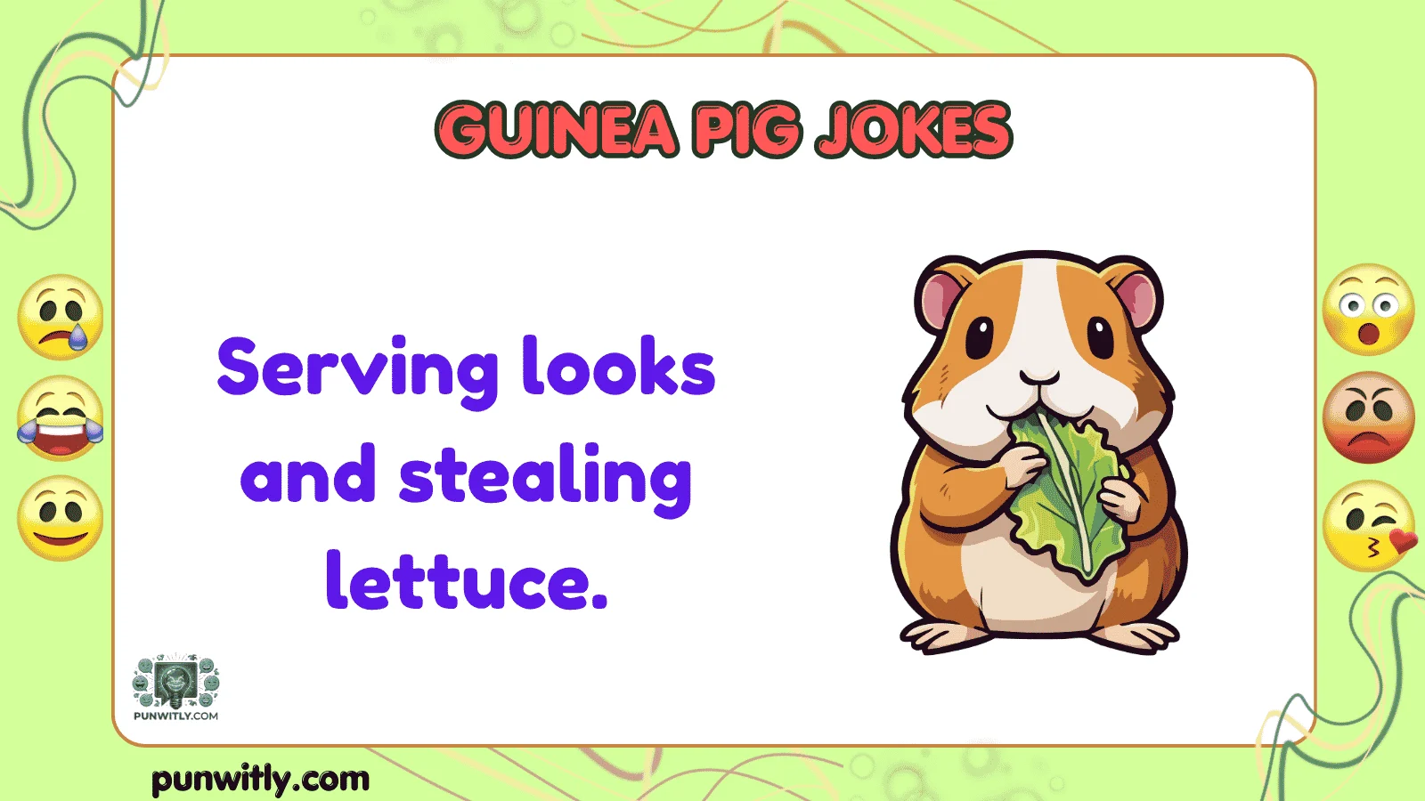 Guinea Pig Jokes