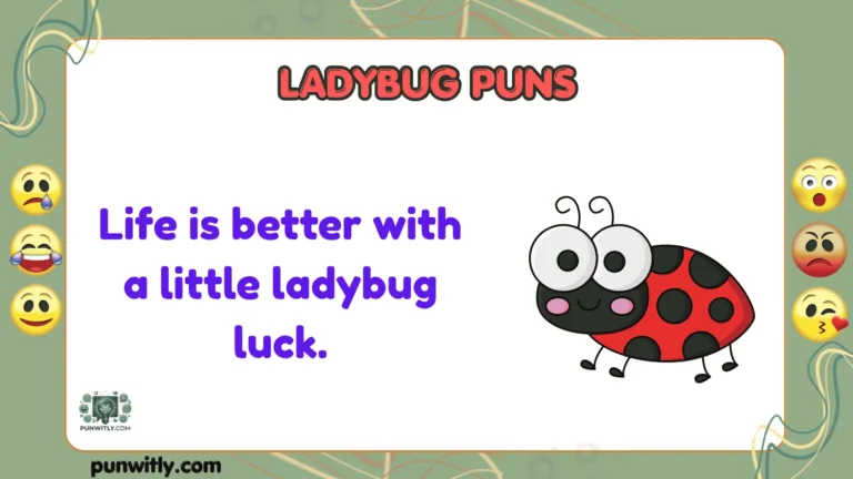 Ladybug Puns